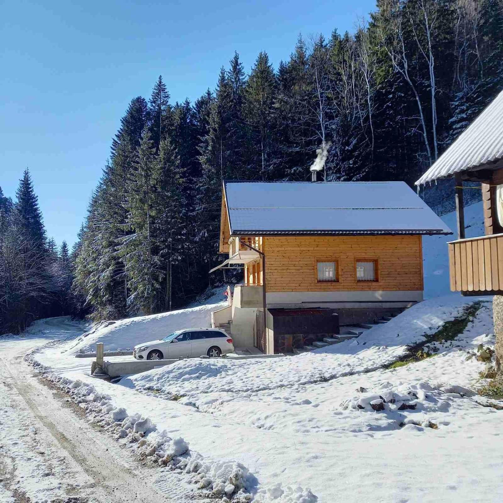 Hisa Lunna - Apartments In A Forest Paradise Vitanje 外观 照片