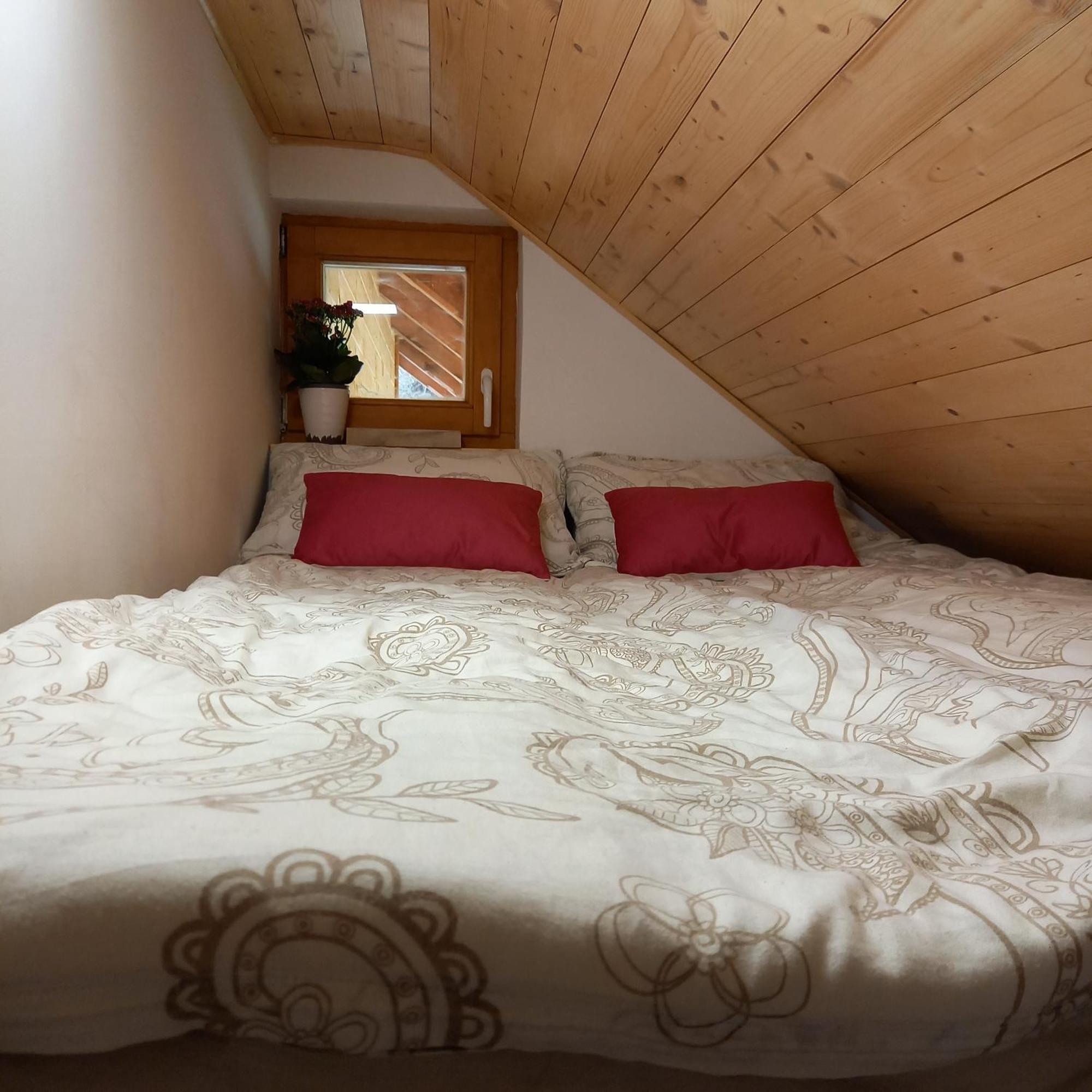 Hisa Lunna - Apartments In A Forest Paradise Vitanje 外观 照片